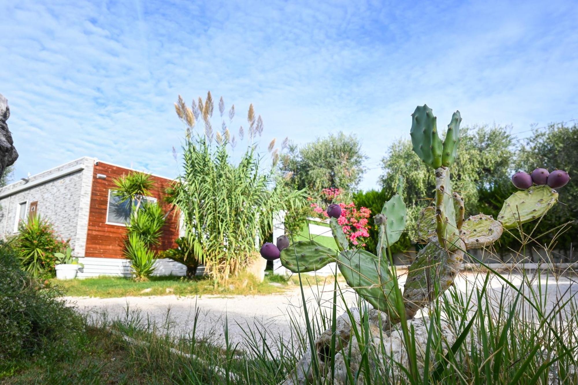 Giardino Don Berardino Villa Mattinata Exterior photo